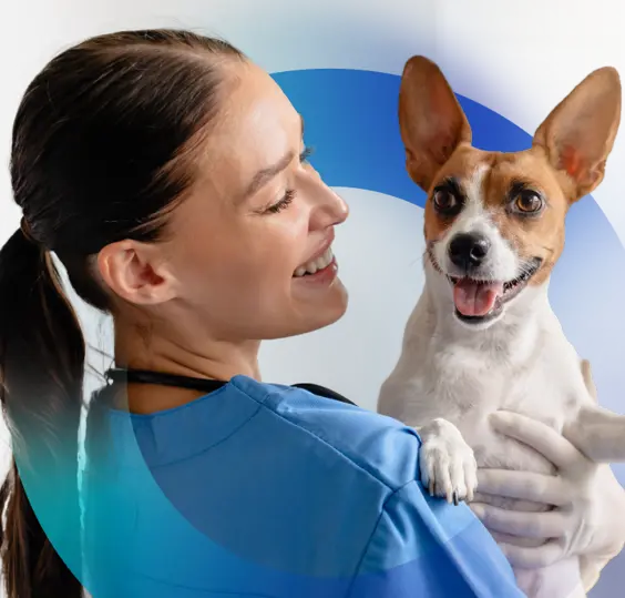 Veterinary Care